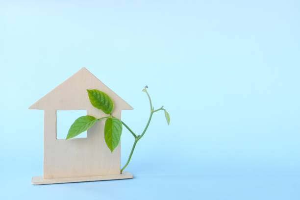 建築コストと補助金額のバランスがいい、長期優良住宅